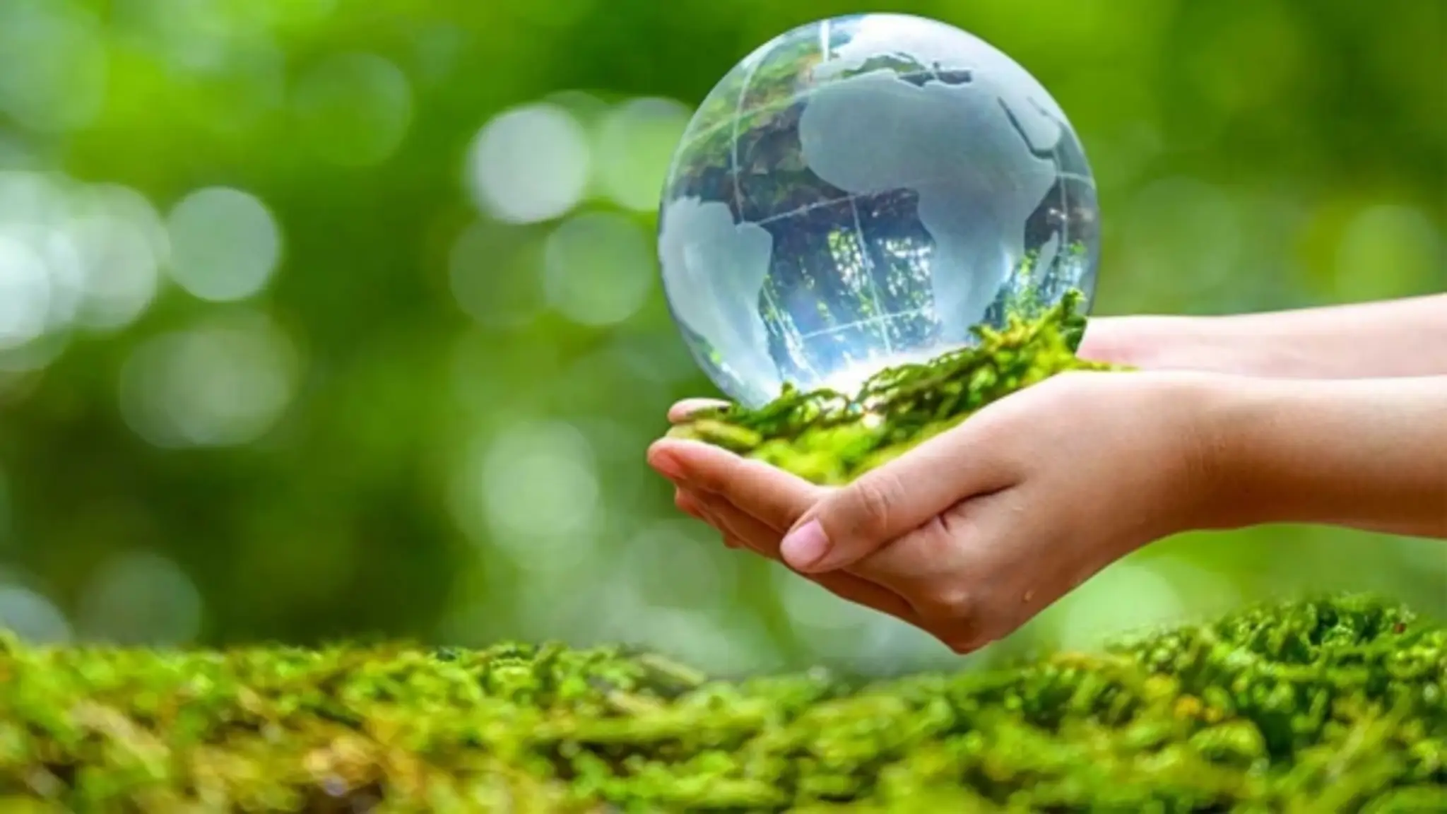 THỰC HIỆN CÔNG KHAI THÔNG TIN MÔI TRƯỜNG – GIẤY PHÉP MÔI TRƯỜNG KCN VSIP